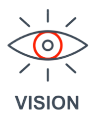 Vision